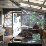 Paradise Kitchen Is A Dirty Kitchen 