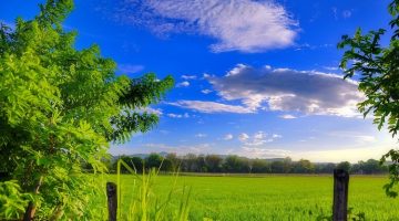 can a foreigner own land in the philippines