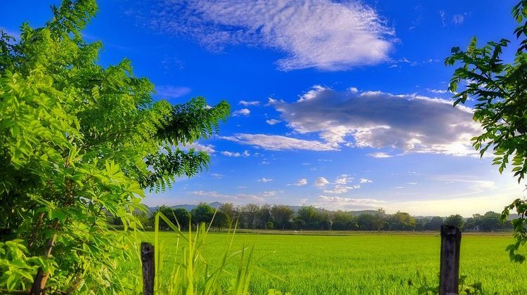 Can Foreigners Own Land in the Philippines? Proceed With Caution If You Want to Stay Safe.